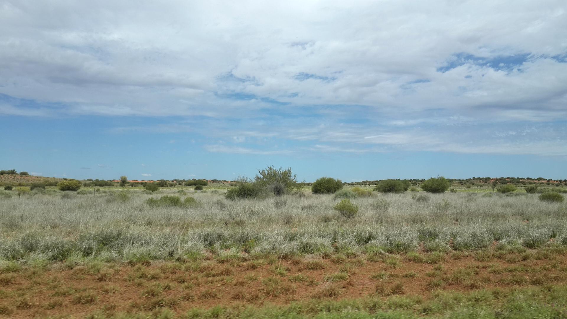 Keski-Australiassa on ensimmäkseen tätä: hiekkaa ja pensaita.
