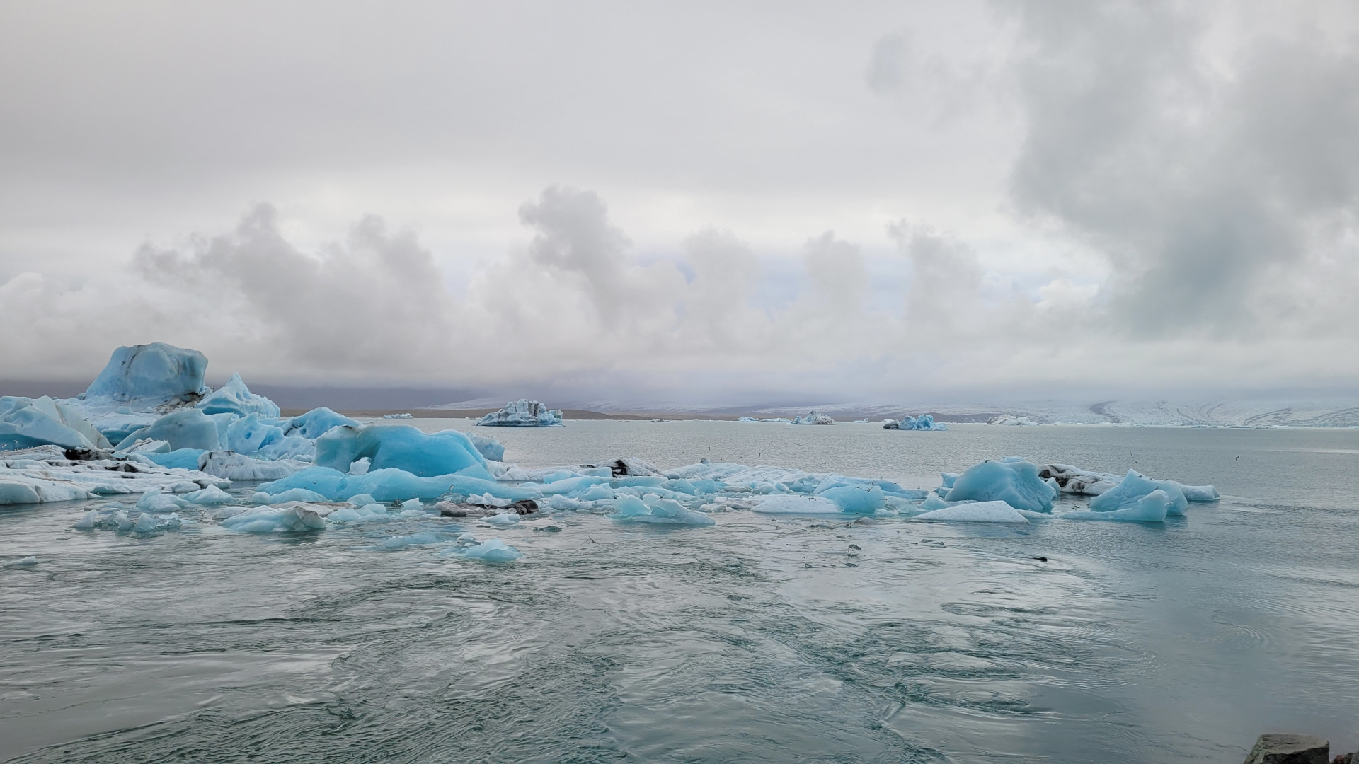 Jokulsarlon glacier lagoon. Icebergs split from the glacier on the background and drift to the sea.