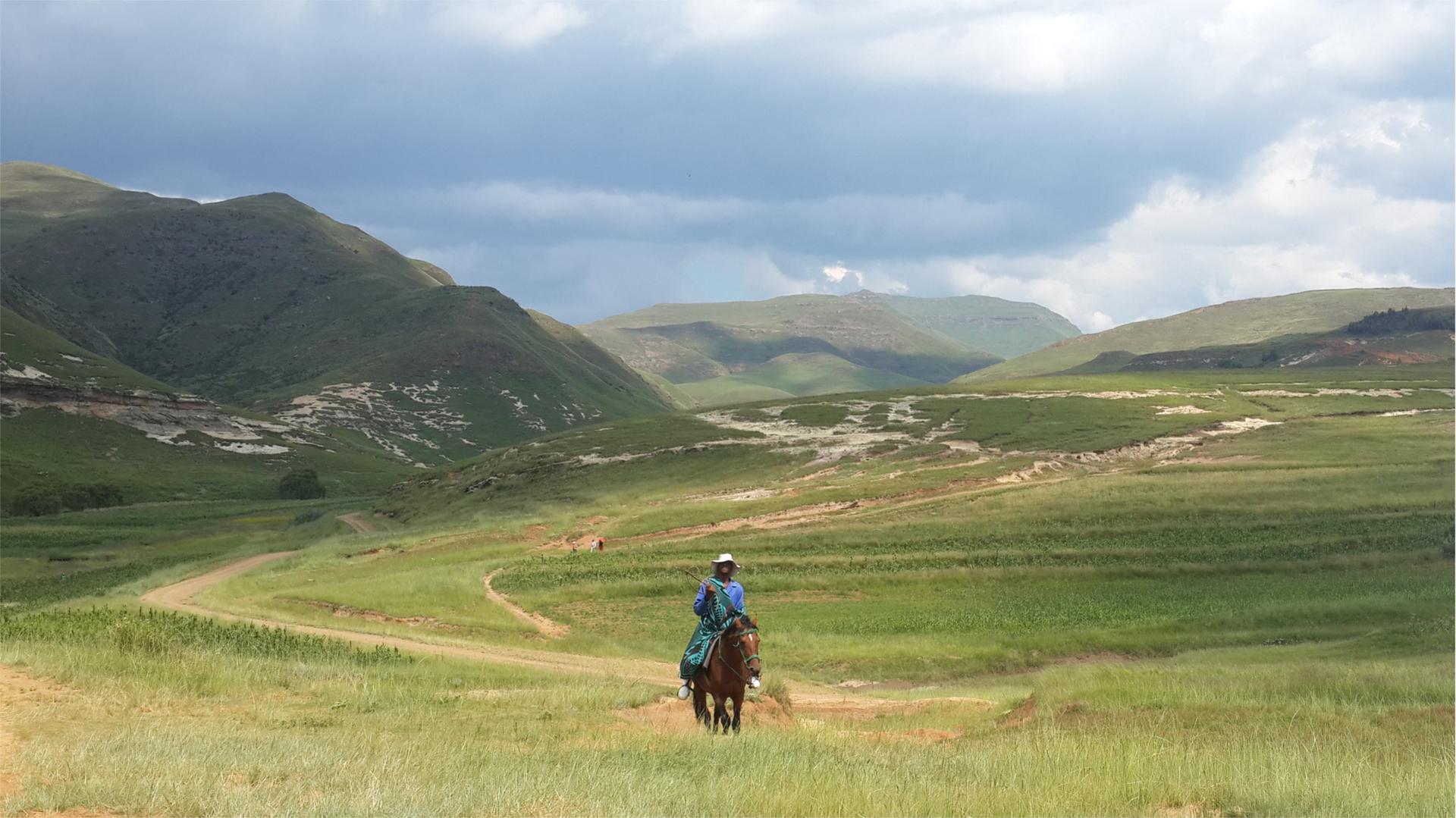 Lesotho ratsumies hevonen maisema