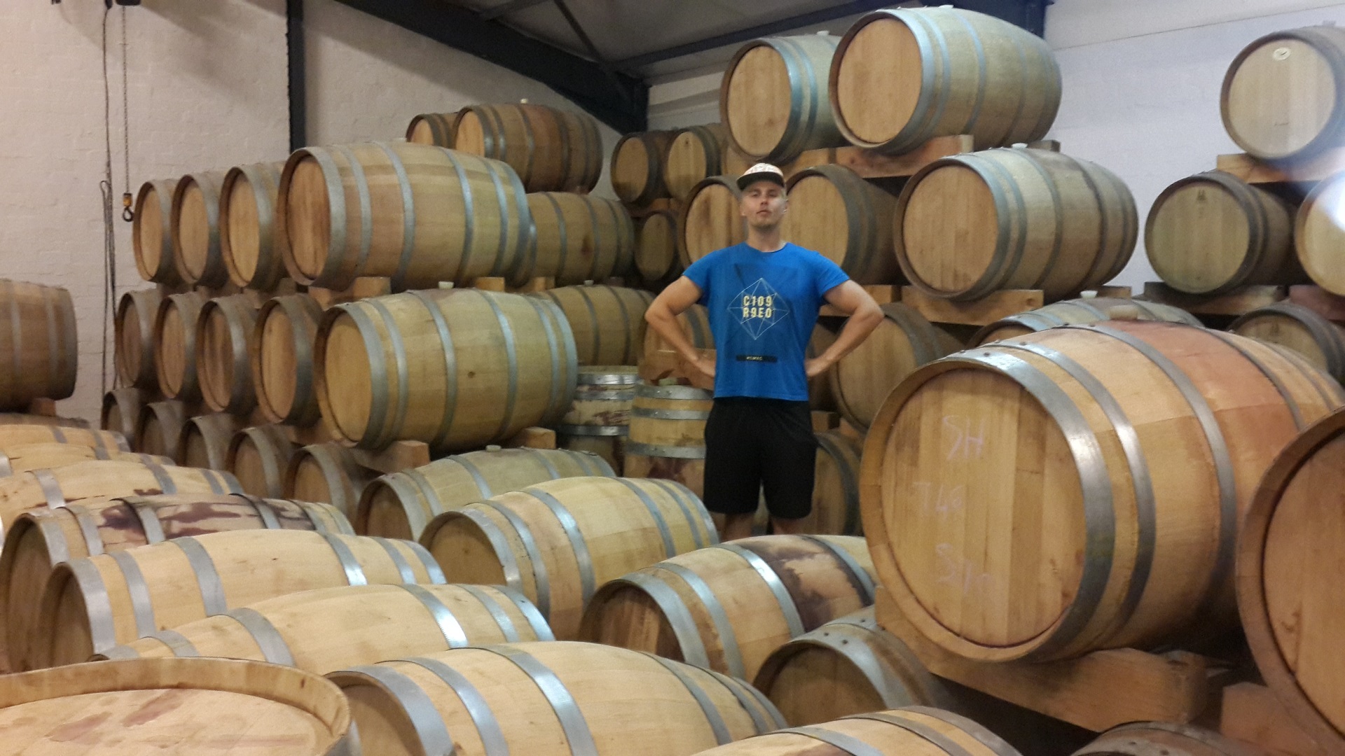 Stellenbosch winery, wine barrels. Like a boss.