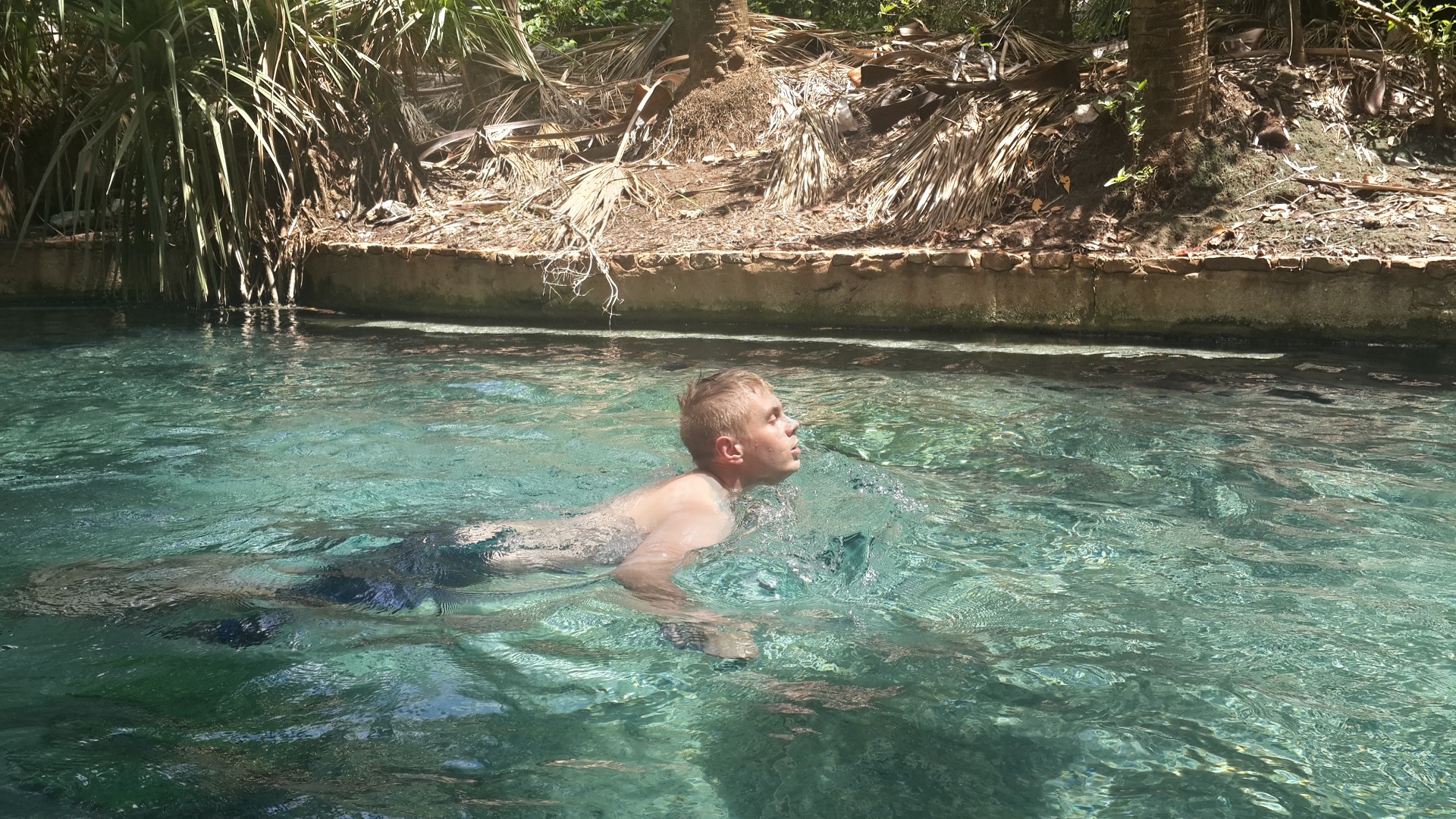 Day 9: Thermal pools in Mataranka, Australia. Crystal clear water was conducted to the pool that was partly human made.